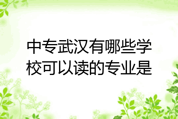 中专武汉有哪些学校可以读的专业是