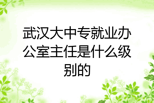 武汉大中专就业办公室主任是什么级别的