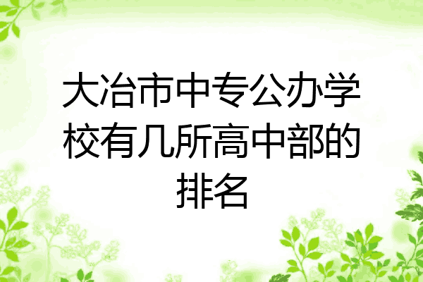 大冶市中专公办学校有几所高中部的排名