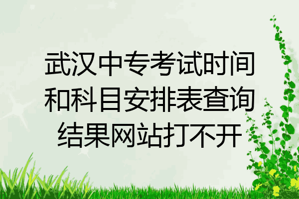 武汉中专考试时间和科目安排表查询结果网站打不开