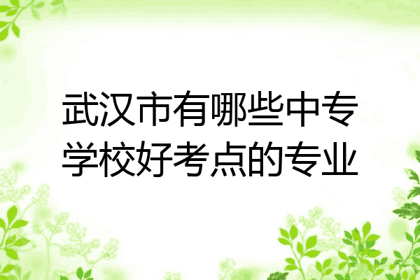 武汉市有哪些中专学校好考点的专业