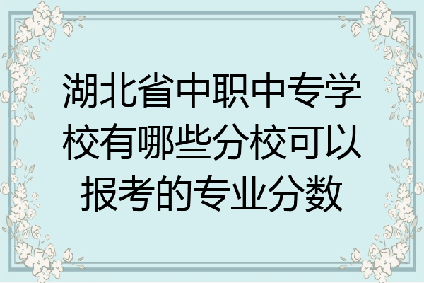 湖北省中职中专学校有哪些分校可以报考的专业分数