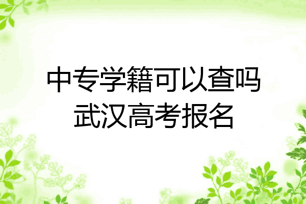 中专学籍可以查吗武汉高考报名
