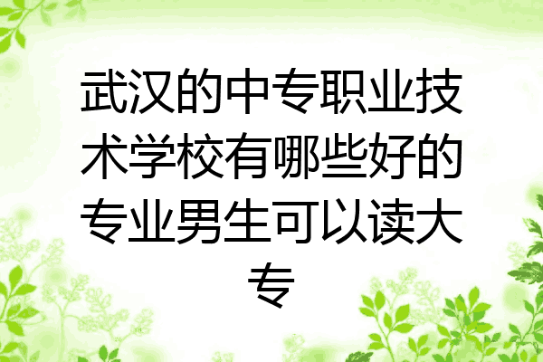 武汉的中专职业技术学校有哪些好的专业男生可以读大专