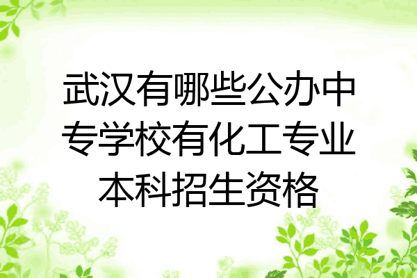 武汉有哪些公办中专学校有化工专业本科招生资格