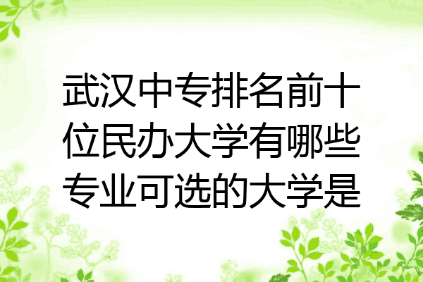武汉中专排名前十位民办大学有哪些专业可选的大学是