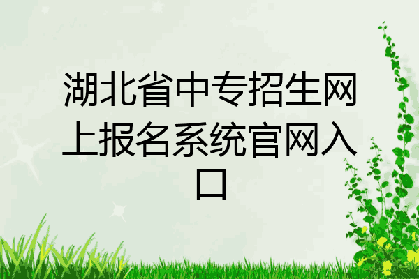 湖北省中专招生网上报名系统官网入口