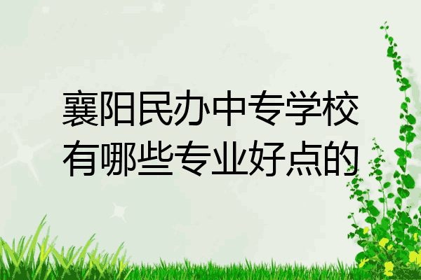 襄阳民办中专学校有哪些专业好点的