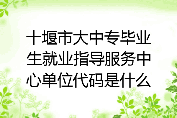 十堰市大中专毕业生就业指导服务中心单位代码是什么