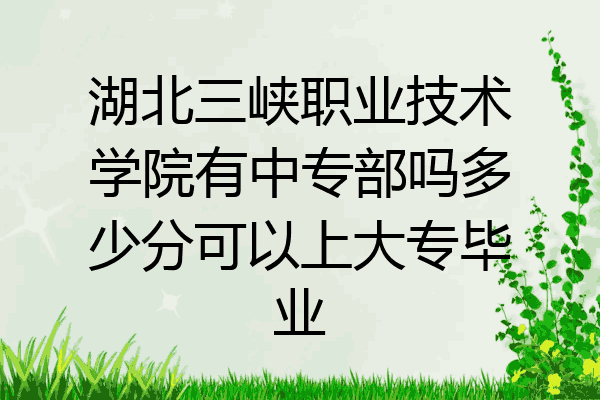 湖北三峡职业技术学院有中专部吗多少分可以上大专毕业