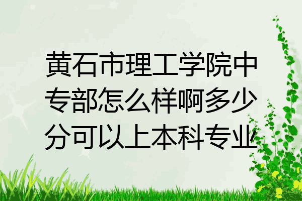 黄石市理工学院中专部怎么样啊多少分可以上本科专业