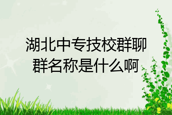 湖北中专技校群聊群名称是什么啊