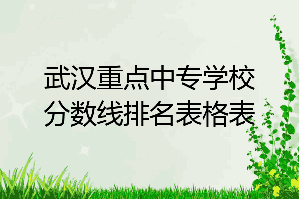 武汉重点中专学校分数线排名表格表