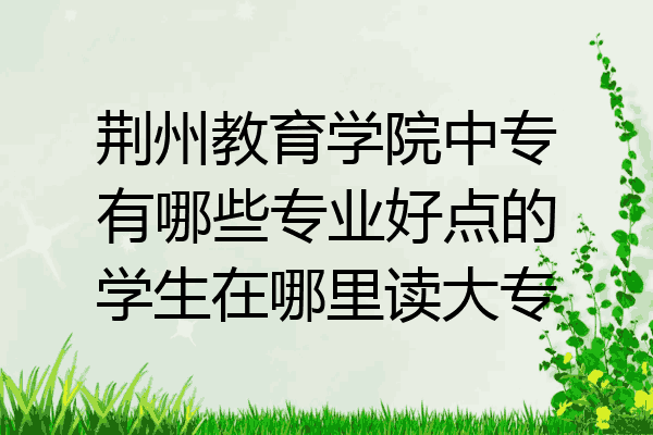 荆州教育学院中专有哪些专业好点的学生在哪里读大专