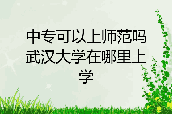 中专可以上师范吗武汉大学在哪里上学