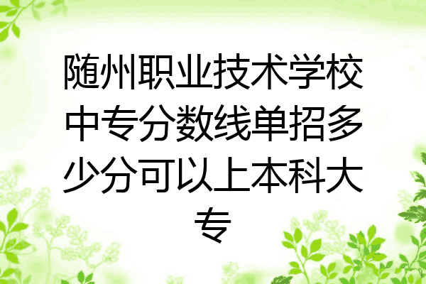 随州职业技术学校中专分数线单招多少分可以上本科大专