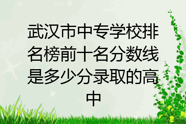 武汉市中专学校排名榜前十名分数线是多少分录取的高中