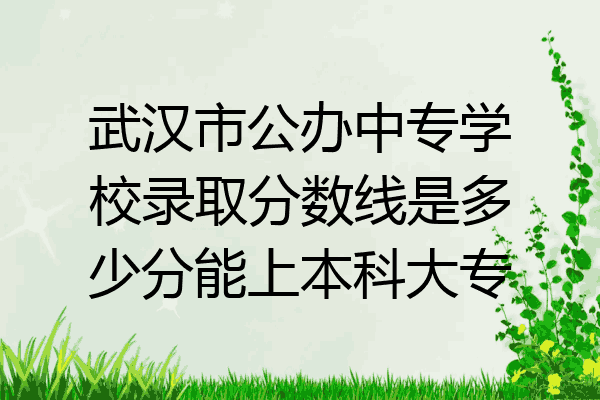 武汉市公办中专学校录取分数线是多少分能上本科大专