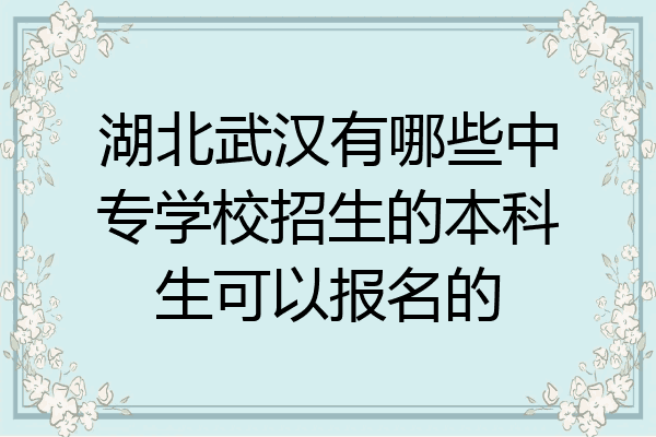 湖北武汉有哪些中专学校招生的本科生可以报名的