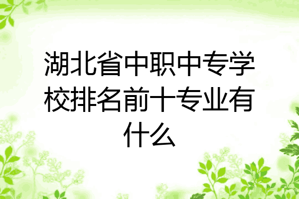 湖北省中职中专学校排名前十专业有什么