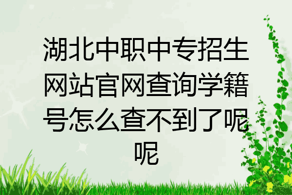 湖北中职中专招生网站官网查询学籍号怎么查不到了呢呢