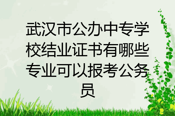 武汉市公办中专学校结业证书有哪些专业可以报考公务员