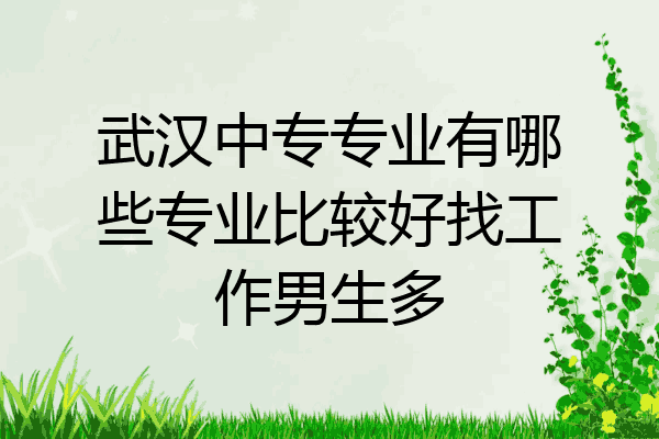武汉中专专业有哪些专业比较好找工作男生多