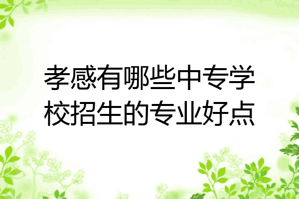 孝感有哪些中专学校招生的专业好点