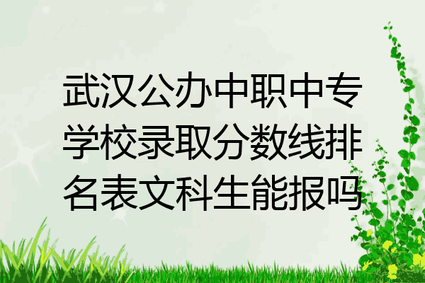 武汉公办中职中专学校录取分数线排名表文科生能报吗