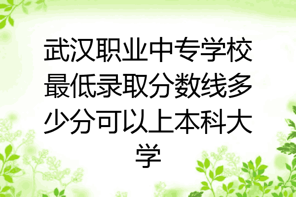 武汉职业中专学校最低录取分数线多少分可以上本科大学
