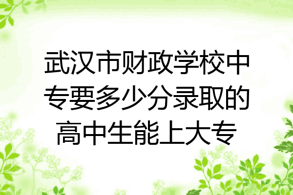 武汉市财政学校中专要多少分录取的高中生能上大专