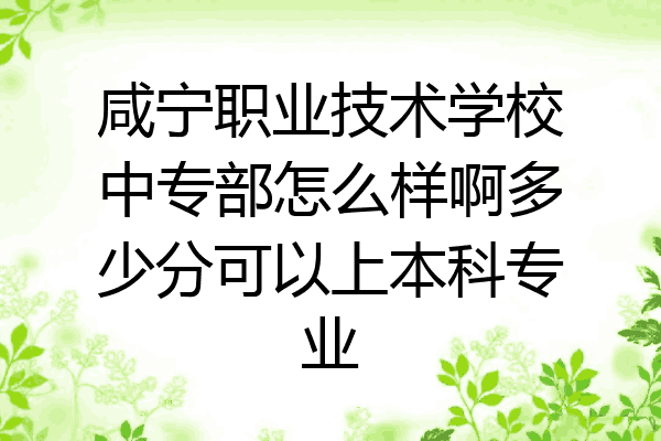 咸宁职业技术学校中专部怎么样啊多少分可以上本科专业