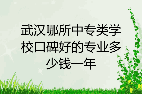 武汉哪所中专类学校口碑好的专业多少钱一年