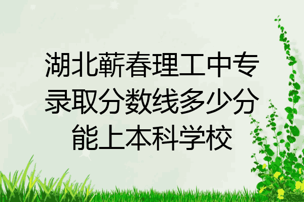 湖北蕲春理工中专录取分数线多少分能上本科学校
