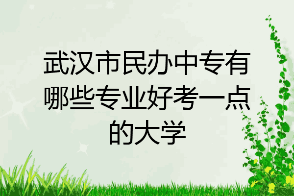 武汉市民办中专有哪些专业好考一点的大学