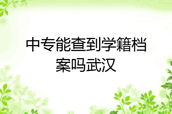 中专能查到学籍档案吗武汉