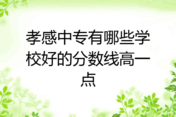 孝感中专有哪些学校好的分数线高一点