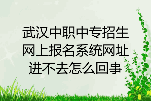 武汉中职中专招生网上报名系统网址进不去怎么回事