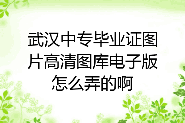 武汉中专毕业证图片高清图库电子版怎么弄的啊