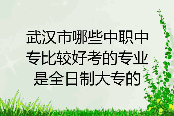 武汉市哪些中职中专比较好考的专业是全日制大专的