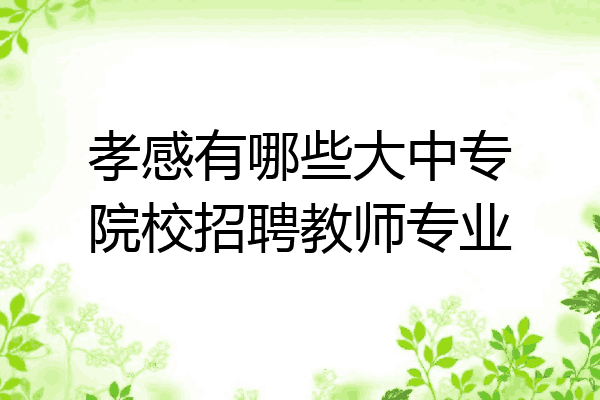 孝感有哪些大中专院校招聘教师专业