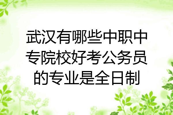 武汉有哪些中职中专院校好考公务员的专业是全日制