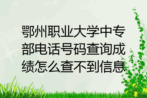 鄂州职业大学中专部电话号码查询成绩怎么查不到信息
