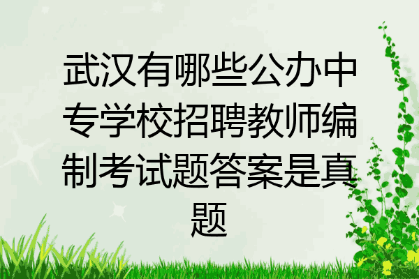 武汉有哪些公办中专学校招聘教师编制考试题答案是真题
