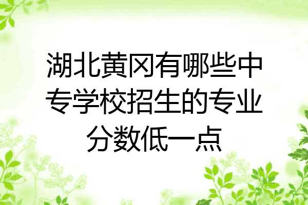 湖北黄冈有哪些中专学校招生的专业分数低一点