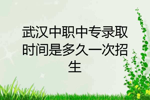 武汉中职中专录取时间是多久一次招生