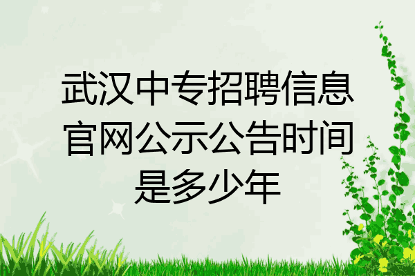 武汉中专招聘信息官网公示公告时间是多少年