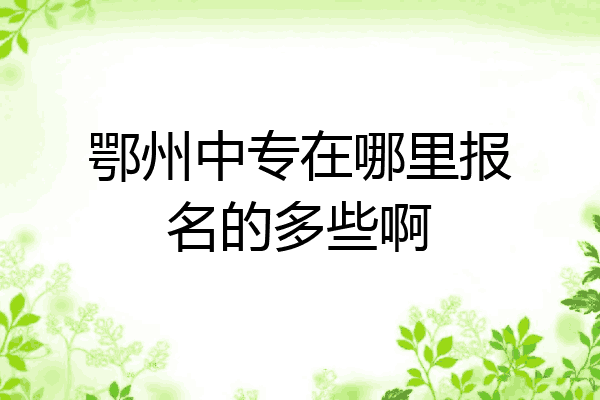 鄂州中专在哪里报名的多些啊