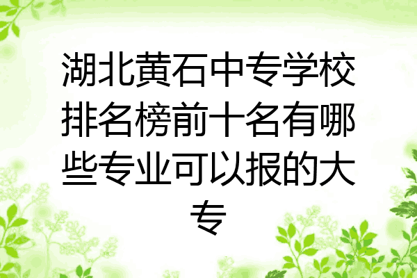 湖北黄石中专学校排名榜前十名有哪些专业可以报的大专