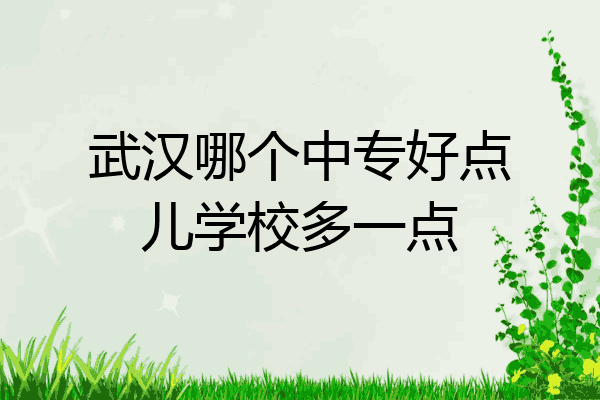 武汉哪个中专好点儿学校多一点